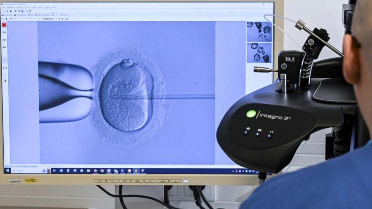 Alabama lawmakers pledge to find solution for IVF families, providers; IVF; IVF families,; solution for IVF; hlwupdate.com; hlwupdate; hlw update;