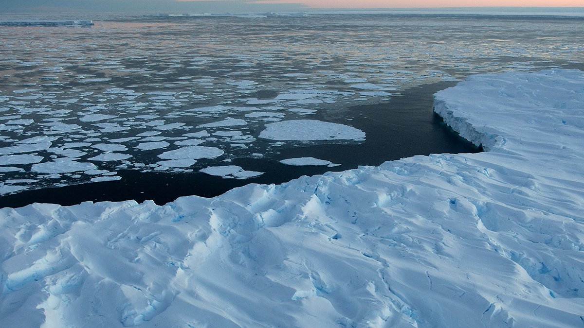 Antarctica sea ice shrinking at alarming pace, scientists call it 'abrupt critical transition'; Antarctica sea ice; Antarctica sea ice shrinking; Antarctica sea; Antarctica; sea ice shrinking; hlwupdate.com; hlwupdate; Hlw Update;